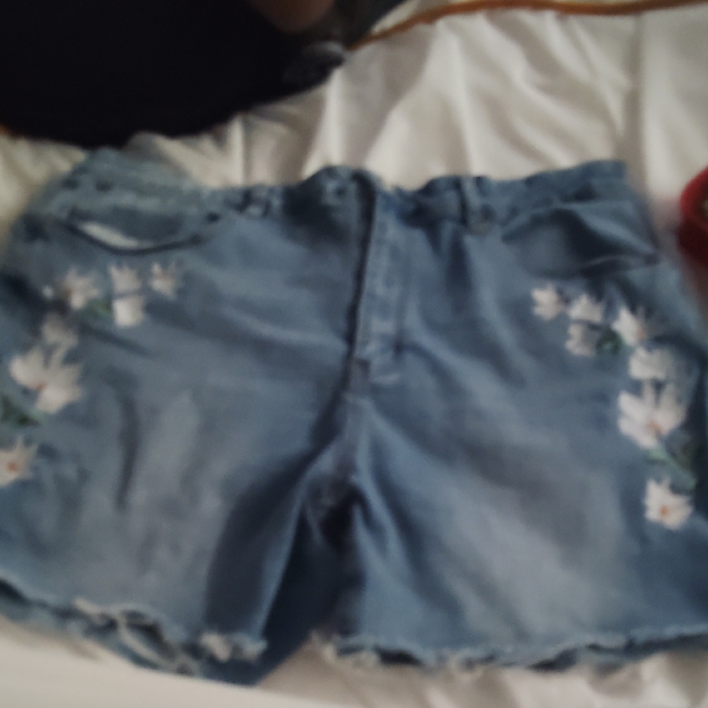 Women's Blue Floral Denim Shorts